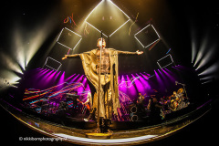 The-Script-Ziggo-Dome-10-06-2022-Nikki-Born-019