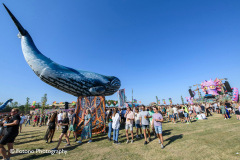Elrow-Town-2022-056