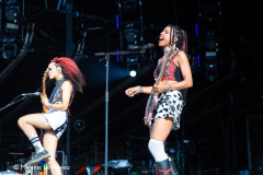 Paleo_20-07-23_Nova-Twins-2