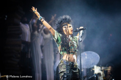 Paleo_20-07-23_Shaka-Ponk-11