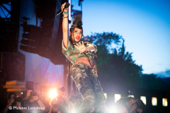 Paleo_20-07-23_Shaka-Ponk-5