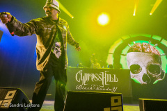 Cypress Hill