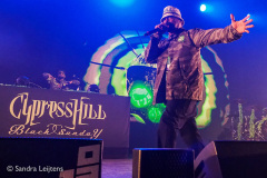 Cypress Hill