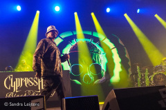 Cypress Hill