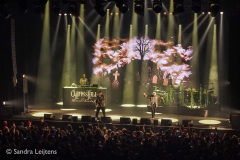 Cypress Hill