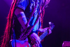 Levellers