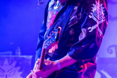 Levellers