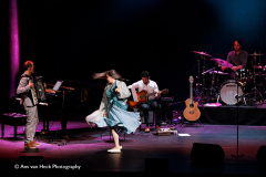 Natalie Merchant; Theater Carre, 8 nov 2023, for CatchingMusic