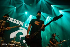 Green-Lizard-013-21092024-Marc-de-Jong-006