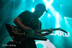 Green-Lizard-013-21092024-Marc-de-Jong-011