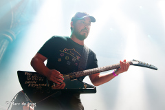Green-Lizard-013-21092024-Marc-de-Jong-012