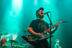 Green-Lizard-013-21092024-Marc-de-Jong-013