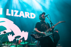 Green-Lizard-013-21092024-Marc-de-Jong-014