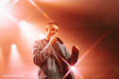 Joel-domingos-29-11-24-paard-capturedbyracheell-005