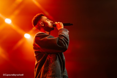 Joel-domingos-29-11-24-paard-capturedbyracheell-007