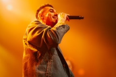 Joel-domingos-29-11-24-paard-capturedbyracheell-008