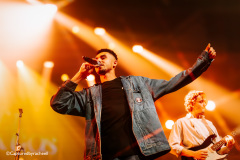 Joel-domingos-29-11-24-paard-capturedbyracheell-009