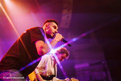 Joel-domingos-29-11-24-paard-capturedbyracheell-015