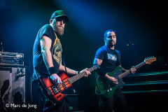Green-Lizard-Bibelot-06122024-Marc-de-Jong-001