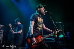 Green-Lizard-Bibelot-06122024-Marc-de-Jong-002