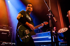 Green-Lizard-Bibelot-06122024-Marc-de-Jong-011