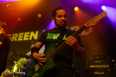 Green-Lizard-Bibelot-06122024-Marc-de-Jong-017