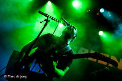 Green-Lizard-Bibelot-06122024-Marc-de-Jong-028