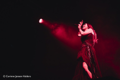 Within-Temptation-Ziggo-Amsterdam-06122024-corinne-jansen-vulders_008