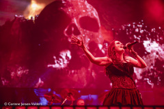 Within-Temptation-Ziggo-Amsterdam-06122024-corinne-jansen-vulders_036