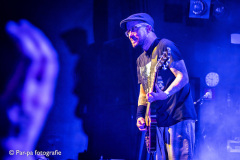 017-20241220-Par-pa-fotografie-CathingMusic-GreenLizard-DeHelling-3264-1CM