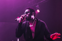 Frenna-Paard-14-02-2025-capturedbyracheell-015