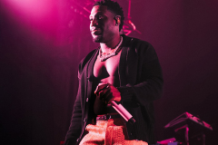 Frenna-Paard-14-02-2025-capturedbyracheell-019