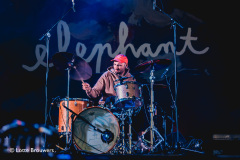 Elephant-BestKeptSecret-20250615-LotteBrouwers_001