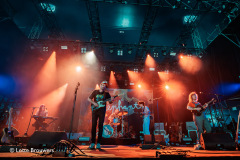 Elephant-BestKeptSecret-20250615-LotteBrouwers_006