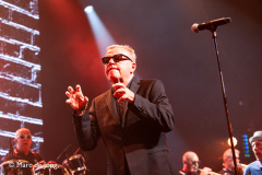 Madness-013-19072025-Marc-de-Jong-23