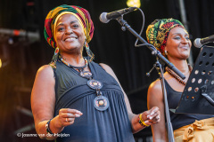 DELIDEL-TOUCH-BOB-MARLEY-Nirwana-Tuinfeest-11082025-Josanne_van_der_Heijden-8335