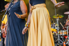 DELIDEL-TOUCH-BOB-MARLEY-Nirwana-Tuinfeest-11082025-Josanne_van_der_Heijden-8365