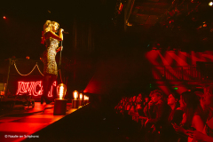 Luvcat_Melkweg_20112025_natalieterschiphorst_012