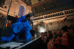 Sylvie-kreusch-22-12-25-paradiso-Fotono-Photography-004