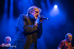 Het-Goede-Doel-revival-Bibelot-13022026-Marc-de-Jong-13