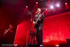 Franz Ferdinand