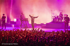Franz Ferdinand