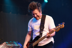 The Wombats