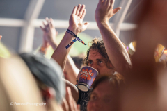 The Wombats