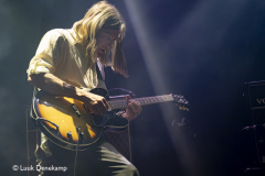 The Dandy Warhols