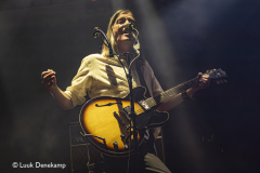 The Dandy Warhols