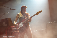 The Dandy Warhols