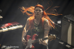The Dandy Warhols
