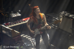 The Dandy Warhols