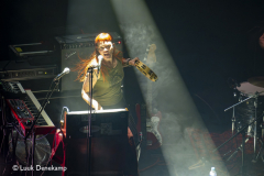 The Dandy Warhols